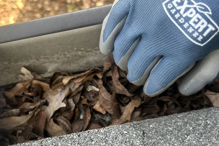 Gutter Cleaning Dacula