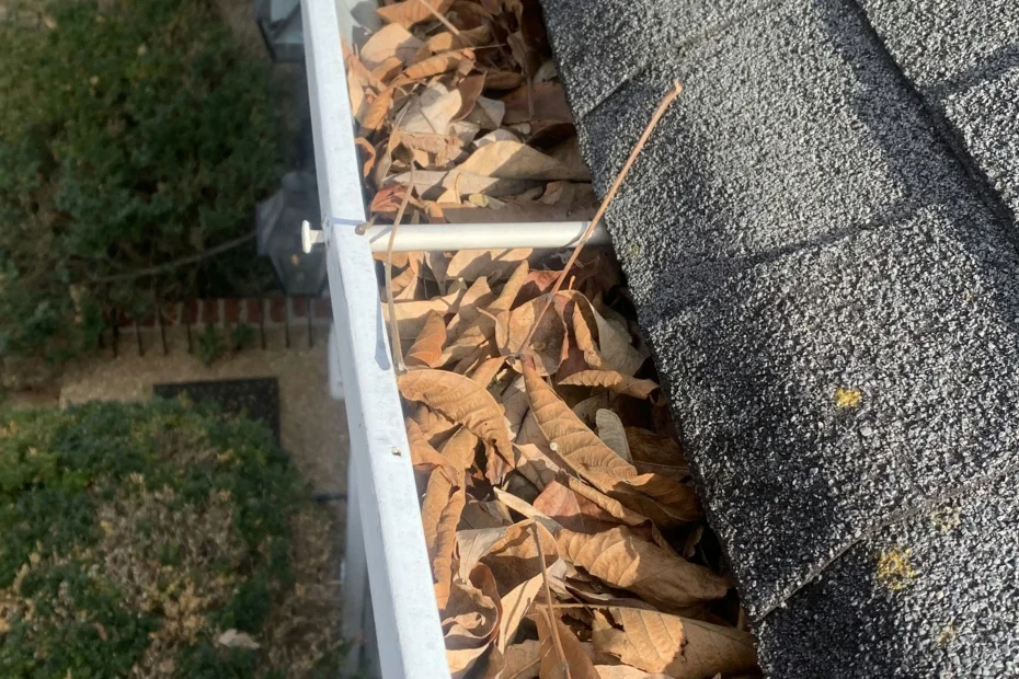 Gutter Cleaning Dacula