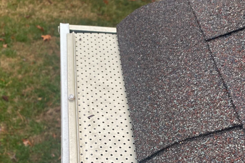 Gutter Cleaning Dacula