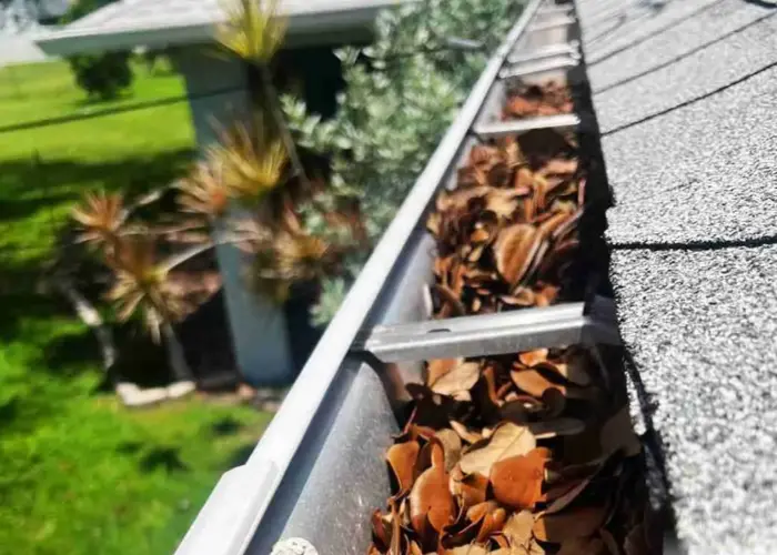 Gutter Cleaning Dacula home page